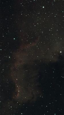 NGC7000